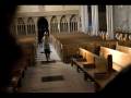 videos de Majesty