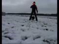 videos de Nexee: frisbee - bum ;o)