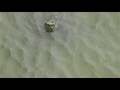 videos de Famous Thai Turtle