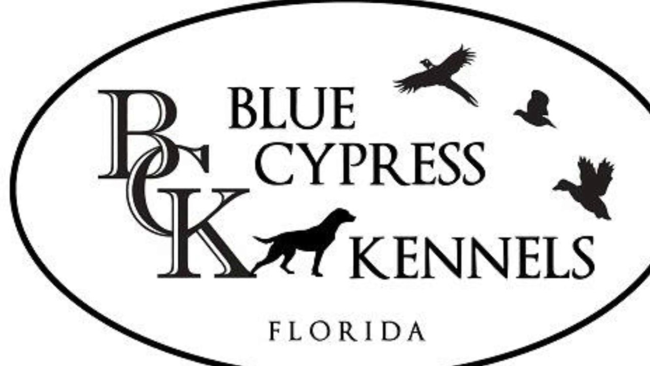 Blue Cypress Kennels - Introduction of the New BCK!