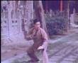 Tai Chi ——太极拳
