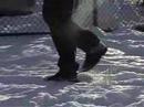 Freeze Frame