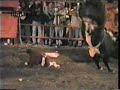 El Huracán vs Caballo,Aguilita,Guero y más...