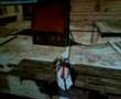 grubb kick ass at assassin creed