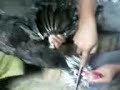 pembunuhan sadis