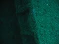 Video-submarinismo