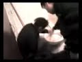 tomando agua del baño