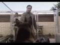 K-9 Trailer