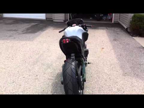 Warhorse Buell