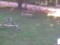 videos de Cannavaro