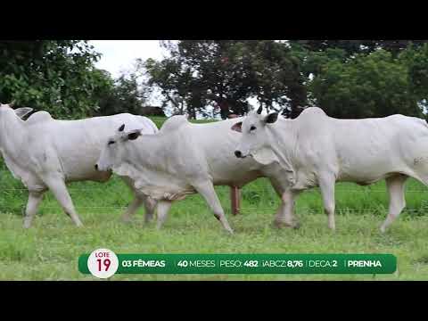 LEILO VIRTUAL FMEAS AGROPECURIA RIBEIRPOLIS