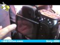 Sony A550