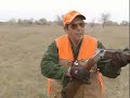 Pheasants