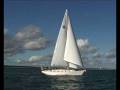 videos de Ocean Premium Plus Movie.wmv