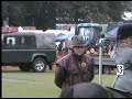 Mirkwood Rainsong at Kinross Show