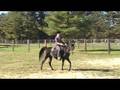 videos de Tigger Walking