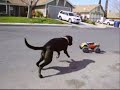 T-MAXX wheelies T-MAXX wheelies