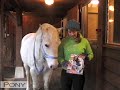 PONY Jan