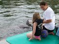 Dolphin Encounter