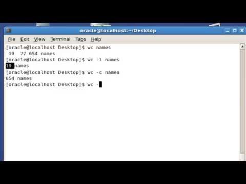 how to use wc command in linux