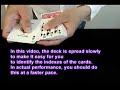 So You Think You Can Skip by Masuda / SEO MAGIC USA So You Think You Can Skip by Masuda / SEO MAGIC USA