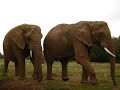 planete sauvage