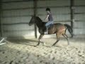 Calipso and Pepper jumping