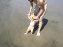Gisa na praia