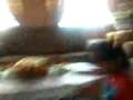 videos de ini adalah kaki