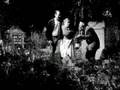 Night of the ZOMBIE!