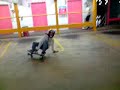 ULB - C.N.T.S Carpark Longboarding
