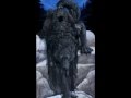 Tribute to Werewolves!