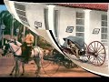 calesas quitrines y volantas en cuba del siglo xix  short 
