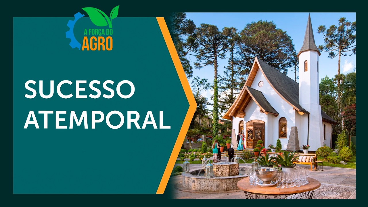 O segredo do Ritta Höppner: 6 décadas de sucesso e o Minimundo  |  AFA, com Joice Maffezzolli