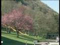 Luxembourg Parc Hotel 2 盧森堡公園旅館