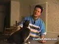 Funny Talking Cats