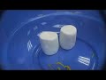 Vacuum : Mashmallows expanding in a vacuum