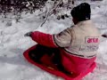 une drole de bête une drole de bête
