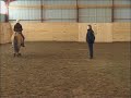 travere to the left, in walk travere to the left, in walk