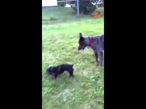 powerball drawing time