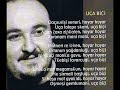 Erdal Bayrakoglu - Uça Biçi