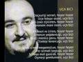 Erdal Bayrakoglu - Uça Biçi