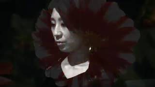 Ai Saito × flying turtle - 真実の花