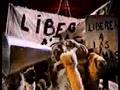 La Llama que llama - Liberen a Willy
