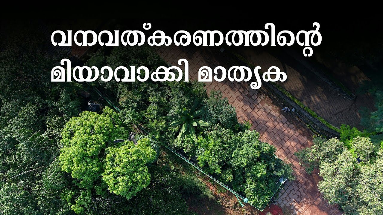 വനവത്കരണത്തിന്റെ മിയാവാക്കി മാതൃക