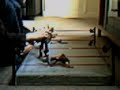 ecw part 1 ecw part 1