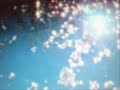 a video clip from the album 