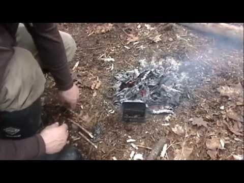 how to harvest tree sap