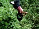 Natalia-Canopy de Cabeza