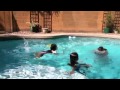 Click here to watch this video Rona swimming